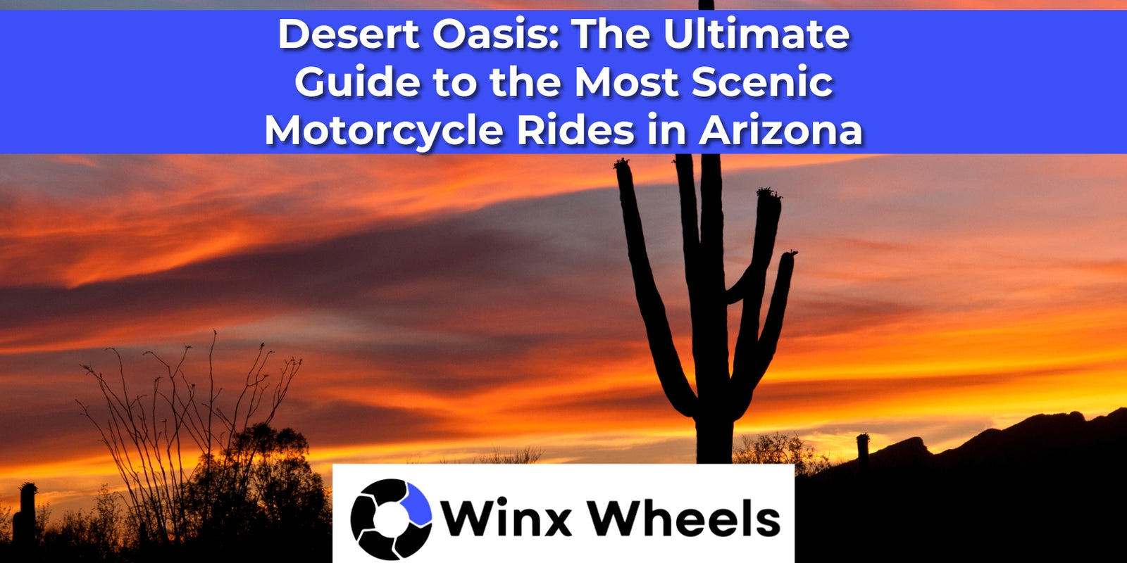 Desert Oasis: The Ultimate Guide to the Most Scenic Motorcycle Rides i ...