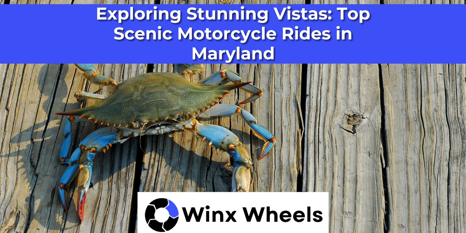 Exploring Stunning Vistas: Top Scenic Motorcycle Rides in Maryland