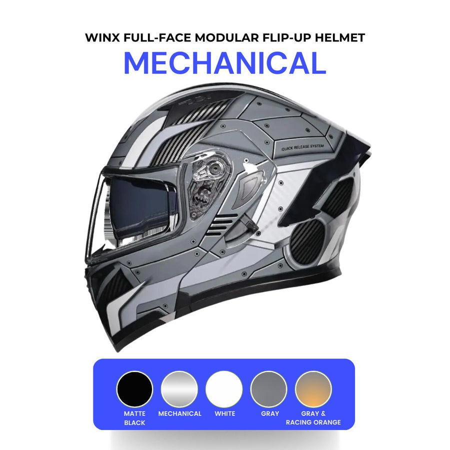 Winx Full-Face Modular Flip-Up Helmet