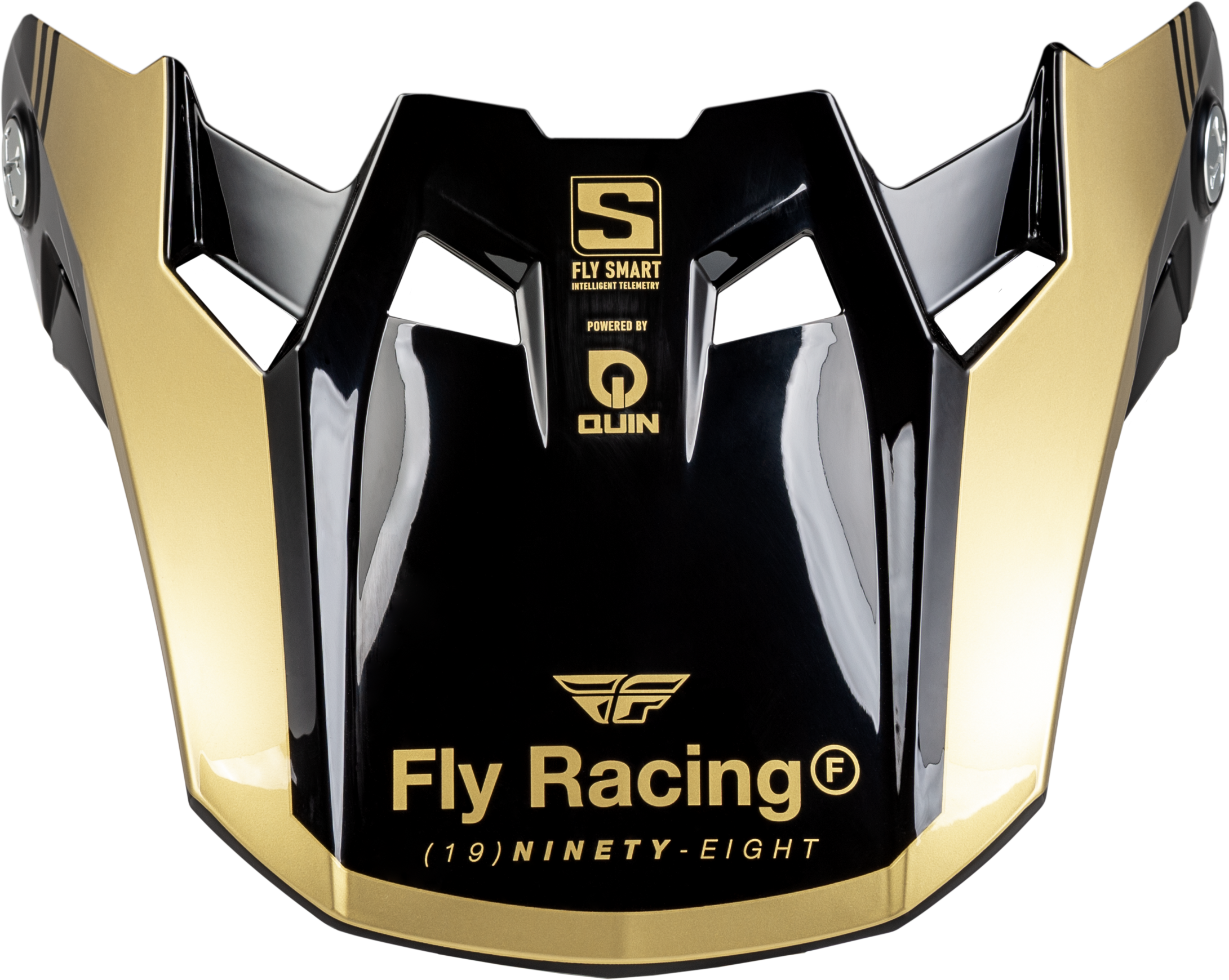 Fly Racing Formula S Carbon Legacy Visor Black/Gold Xl/2x 73-4454