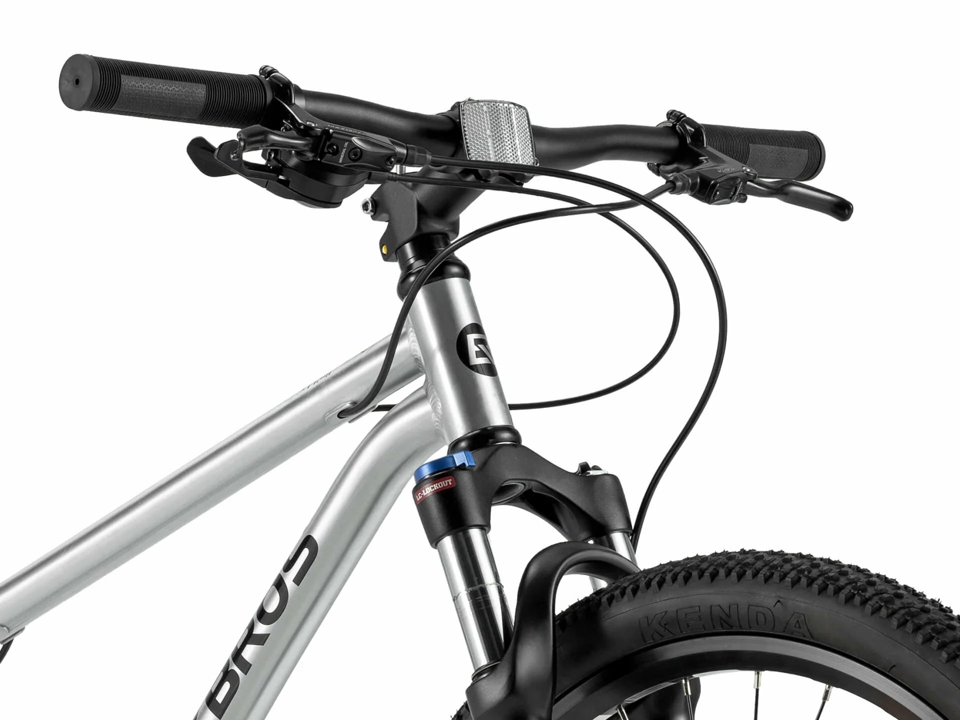 Darwin IV 24-Inch Kids Bike