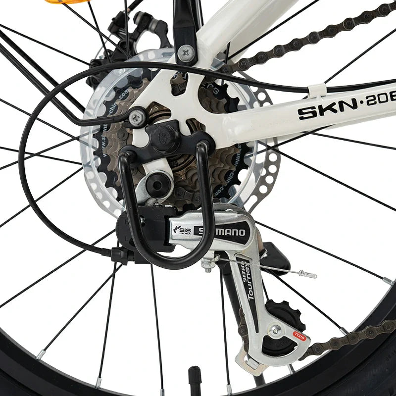 SKN - Folding Bike