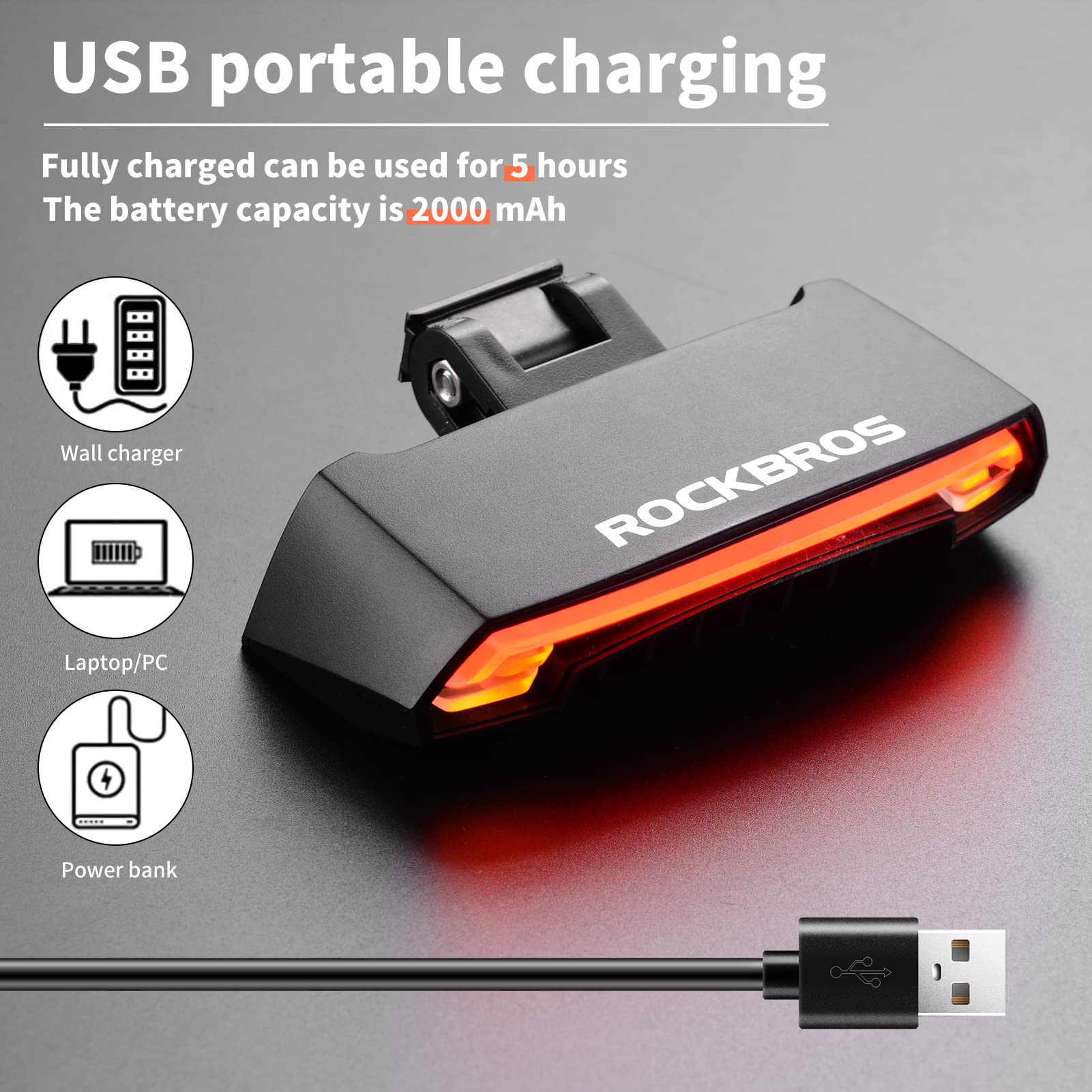 Tail Light with Turn Signals Remote Brake USB